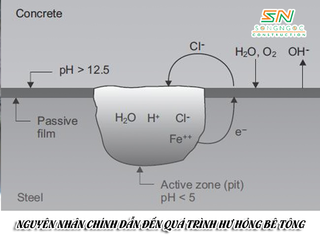 CÁC NGUYÊN NHÂN GÂY HƯ HỎNG BÊ TÔNG TRONG QUÁ TRÌNH XÂY DỰNG